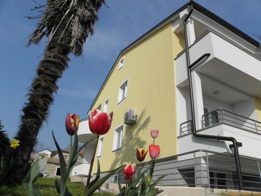 Apartments Paolo In Zambratija At The Sandy Beach المظهر الخارجي الصورة