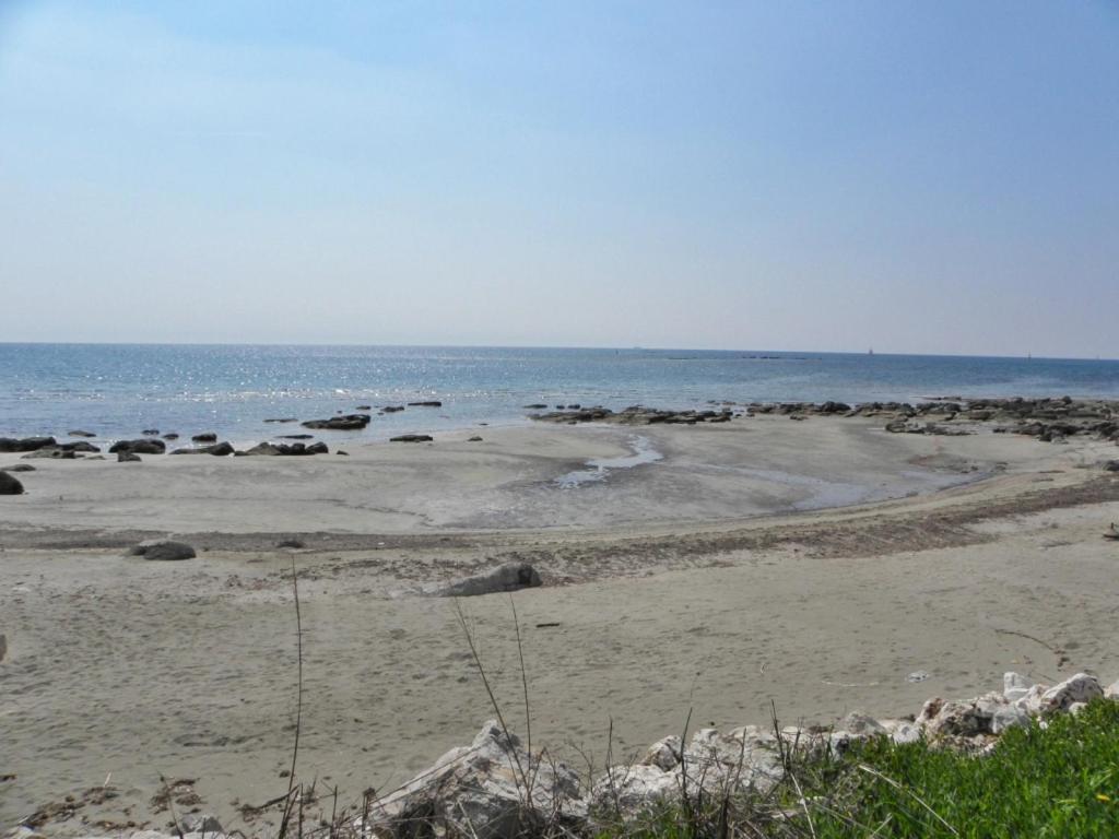 Apartments Paolo In Zambratija At The Sandy Beach المظهر الخارجي الصورة